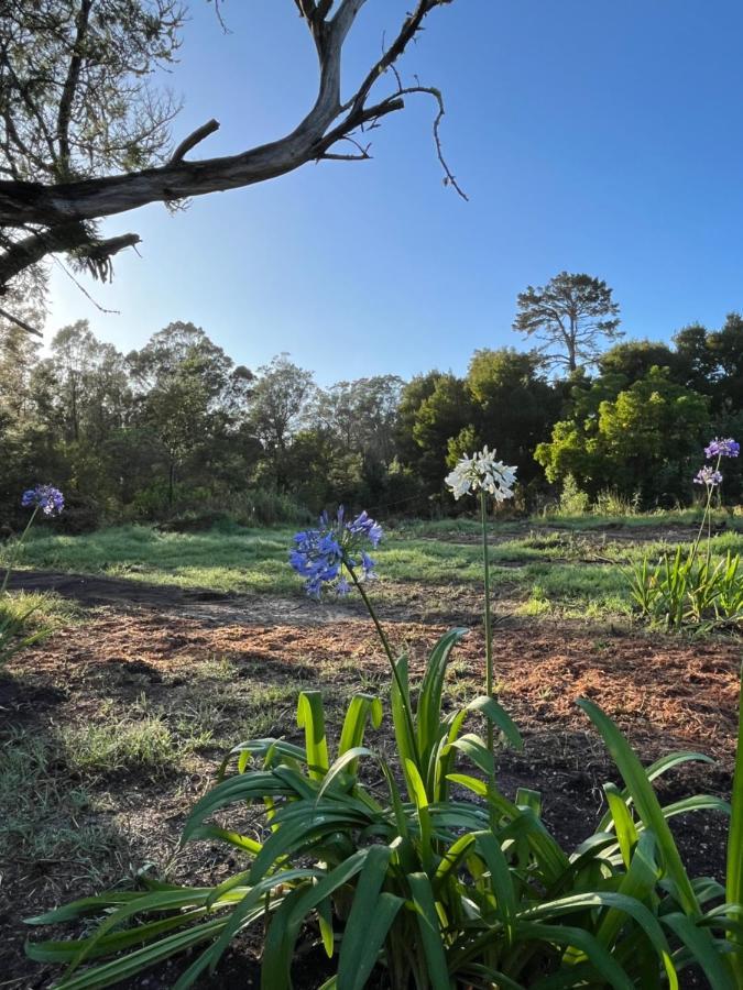 Forest Gate Estate Apartman Plettenberg Bay Kültér fotó