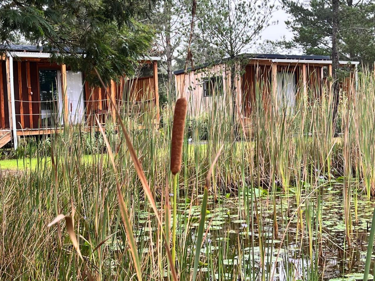 Forest Gate Resort Plettenberg Bay Kültér fotó