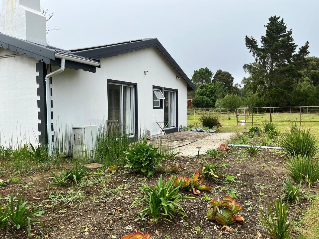 Forest Gate Resort Plettenberg Bay Kültér fotó